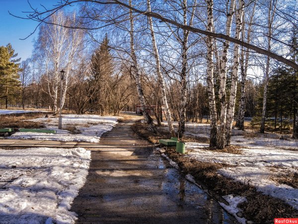 Новосибирск весной