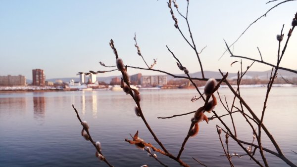 Ранняя Весна в Новосибирске