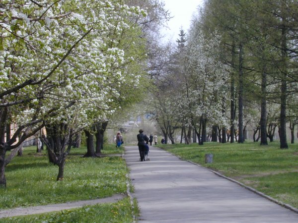 Весна в Красноярске