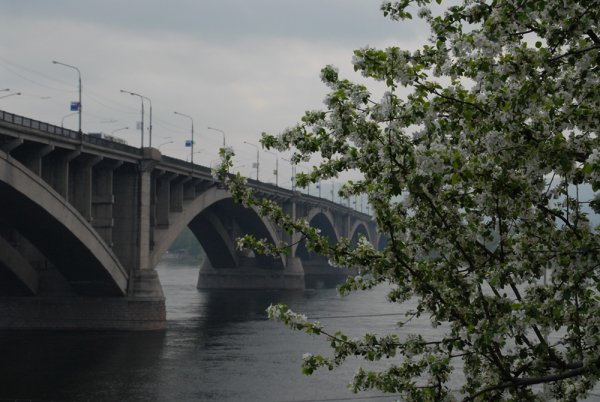Троицкий парк Новосибирск