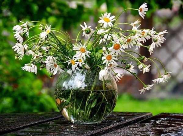 Доброговессенего утро