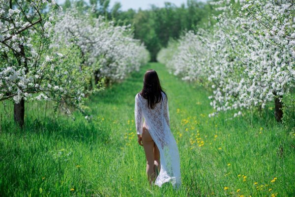 Весна во всей красе