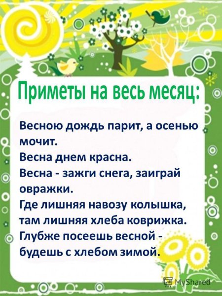Уголок природы март