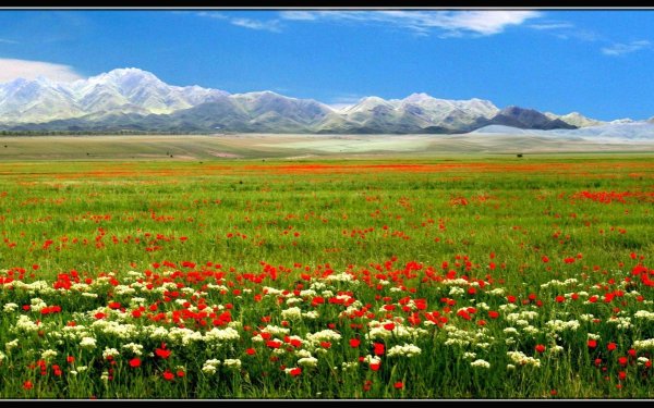 Весна панорама