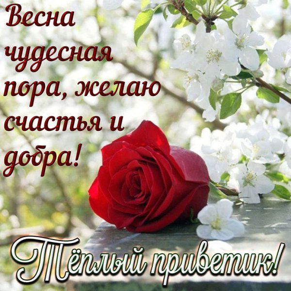 Открытки с добрым утром весенние