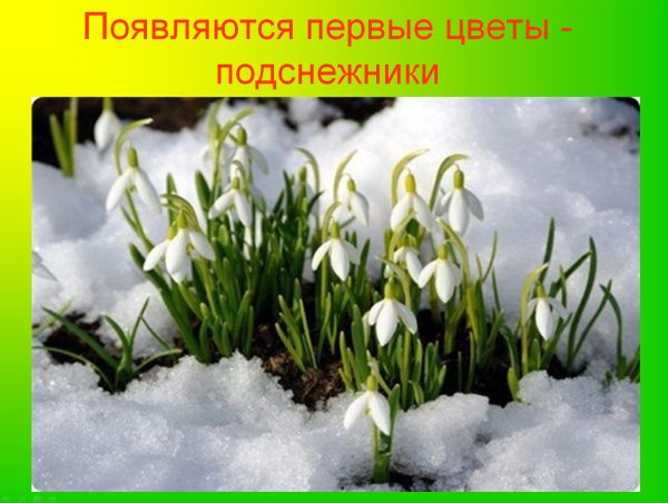 Тема Весна для дошкольников