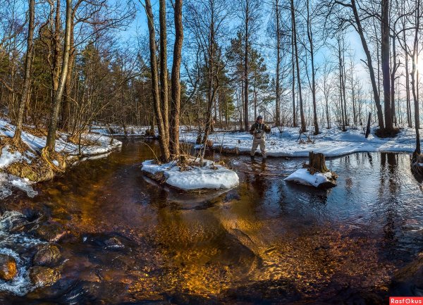 Смолячков ручей Ленинградская область