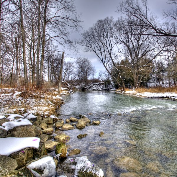 Красота весны