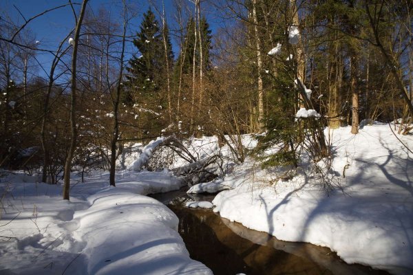 Ранняя Весна