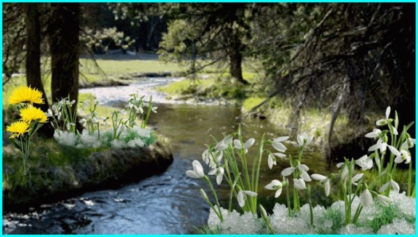 Тает снег бегут ручьи