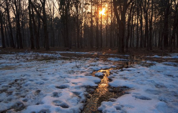 Весенний пейзаж