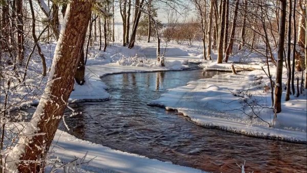 Весенние ручьи в лесу