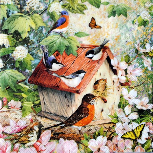 Салфетки для декупажа птички