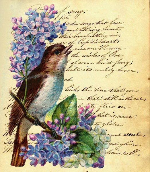 Винтажные весенние птицы