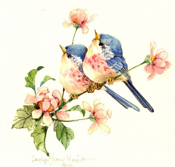 Carolyn Shores Wright. Пташки