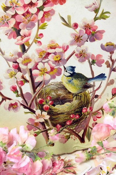Винтажные весенние птицы