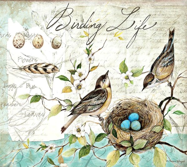 Птички для декупажа