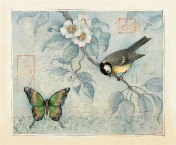 Художница Susan Winget птицы