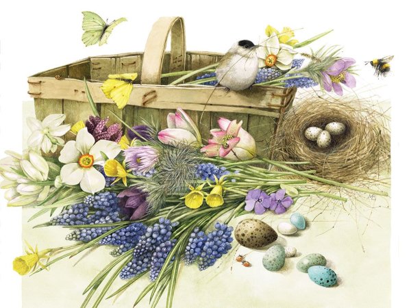 Художник Carolyn Shores акварель птицы