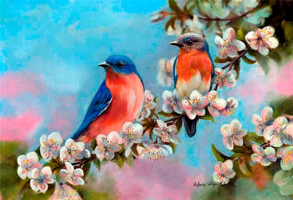 Салфетки для декупажа птички