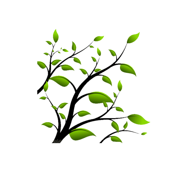 Весенние листья