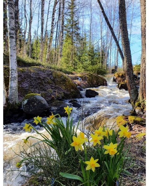 Весна природа оживает