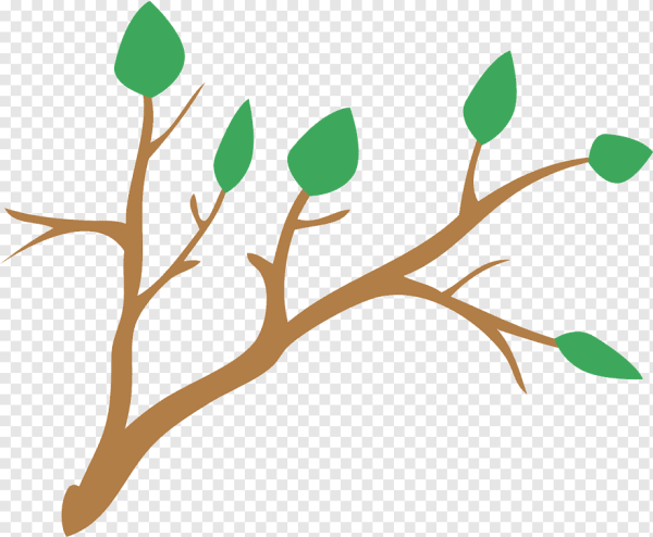 Листья на прозрачном фоне