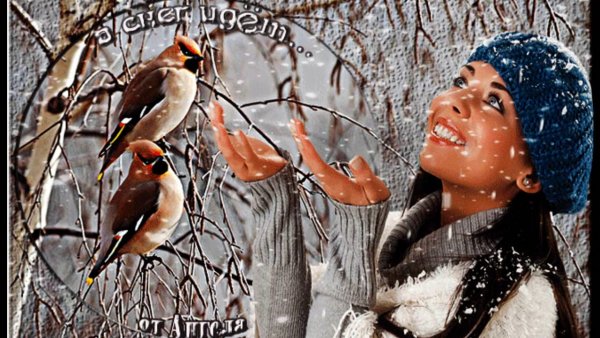 Котик в снегу