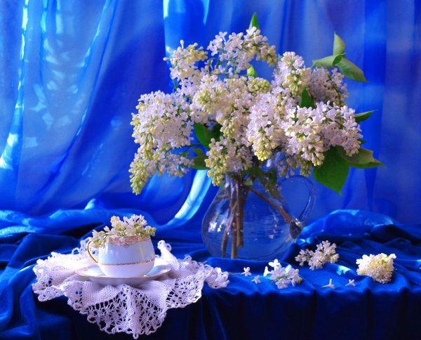 Доброго весеннего вечера