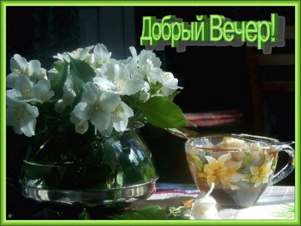 Чудесного весеннего вечера