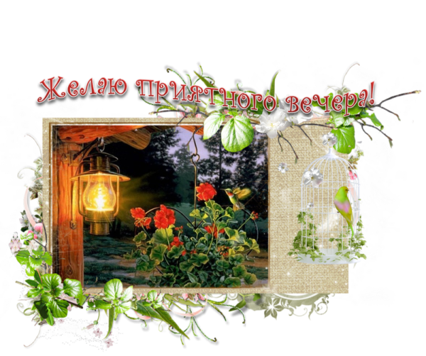 Удивительного вечера