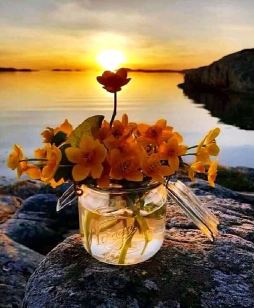 Доброго весеннего вечера