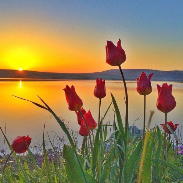 Доброго весеннего вечера