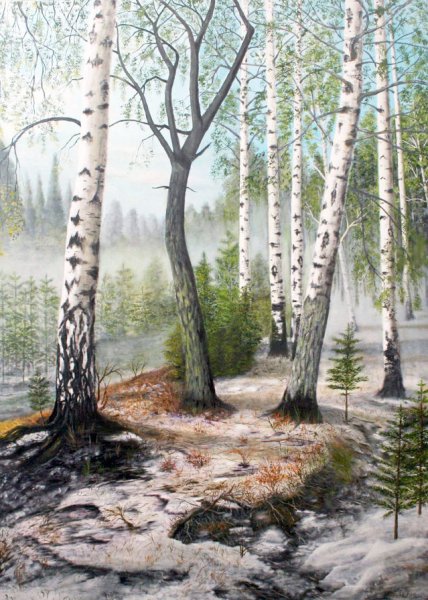 Весенний пейзаж с березками