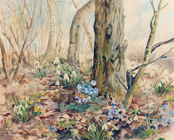 Рисунки Великой княгини Ольги Александровны лес ранней весной