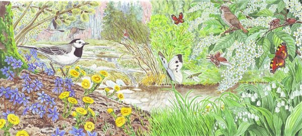 Иллюстрации весеннего леса для детского сада