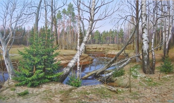 Весенняя Полянка с ручейком