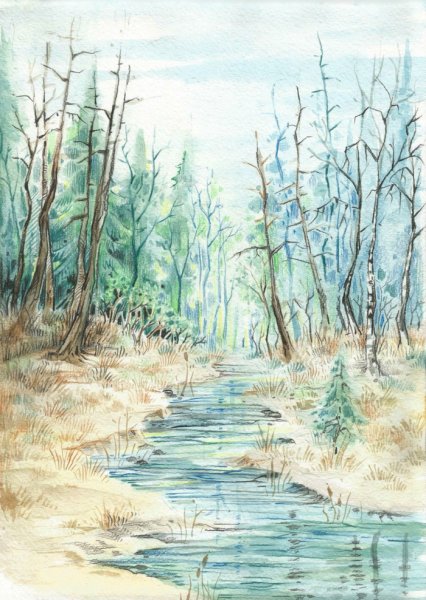 Рисование Березовая роща