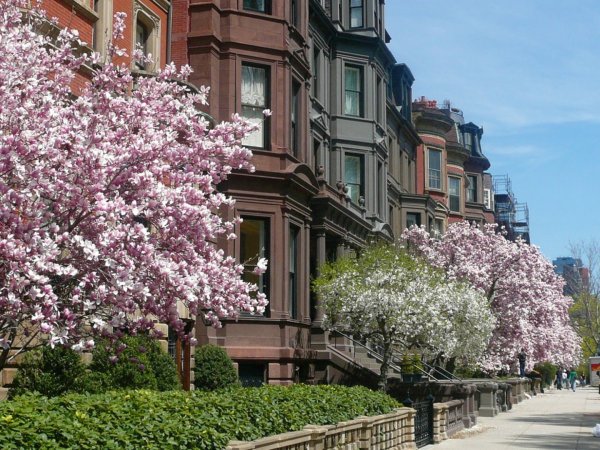 Весна в Бостоне