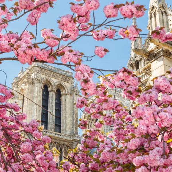 Весна в Европе