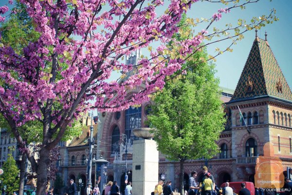 Улица мира апрель