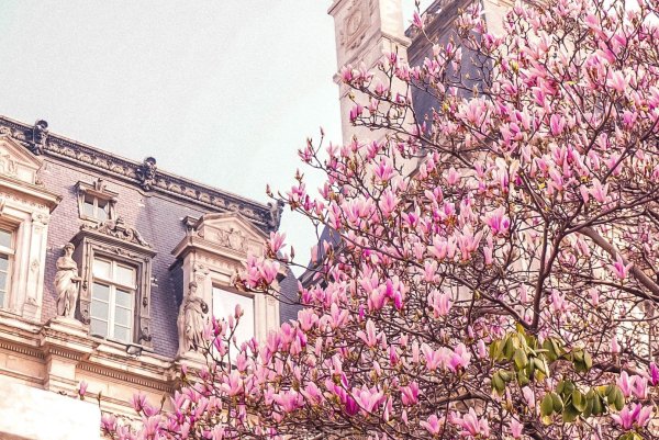 "Весна в Париже" (un printemps à Paris)
