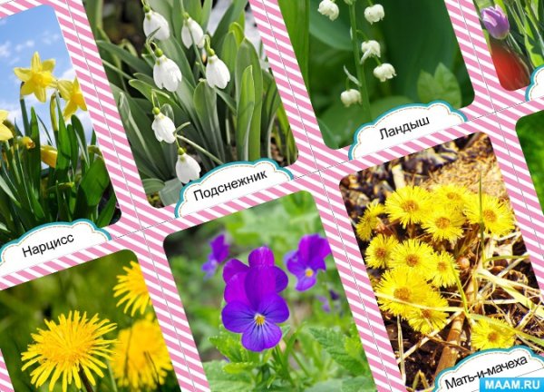 Лэпбук Весна