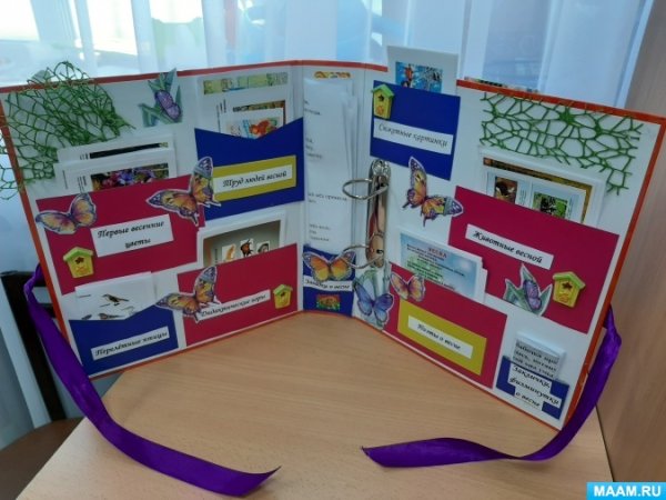 Цветные конверты для лэпбука