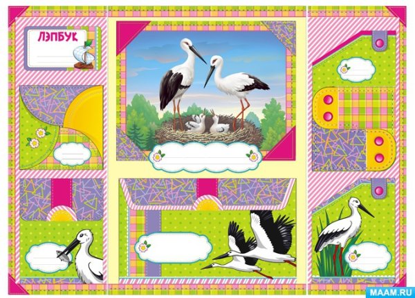 Лэпбук первоцветы