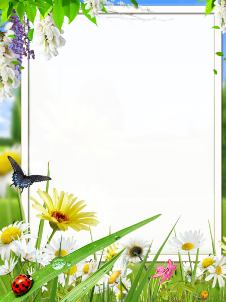 Летняя рамка