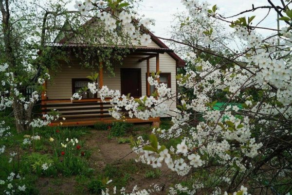 Домик в цветущем саду