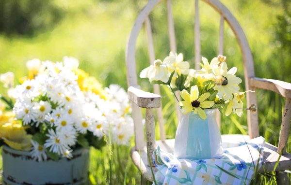 Летнее утро