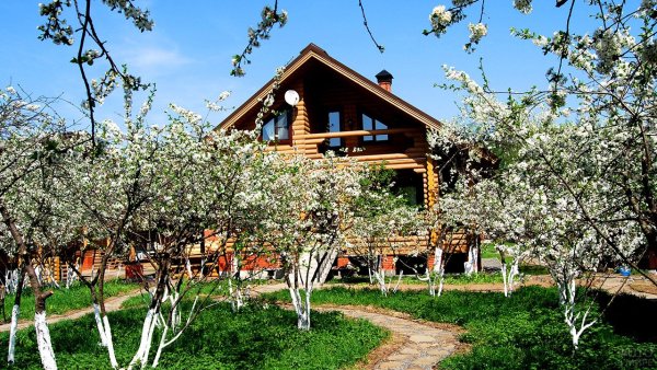Усадьба вишнёвый сад деревня Иваново