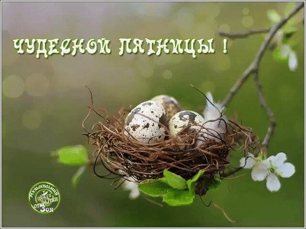 Доброе утро пятницы природа